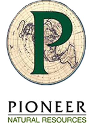 Pioneer, SIM's Partner
